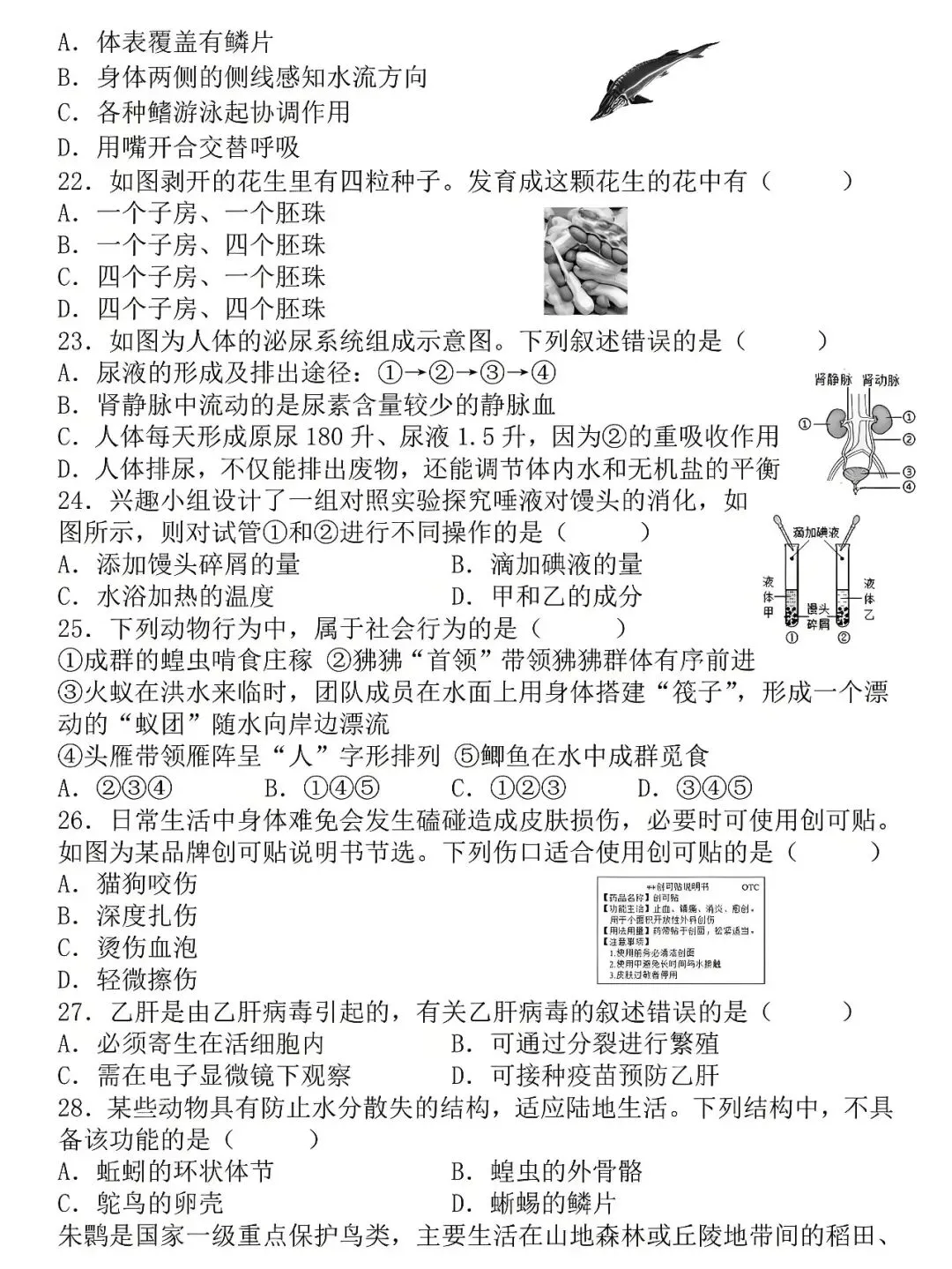 八年级下册生物:学业水平检测模拟试卷(空白版),练熟了才能少丢分! 第5张