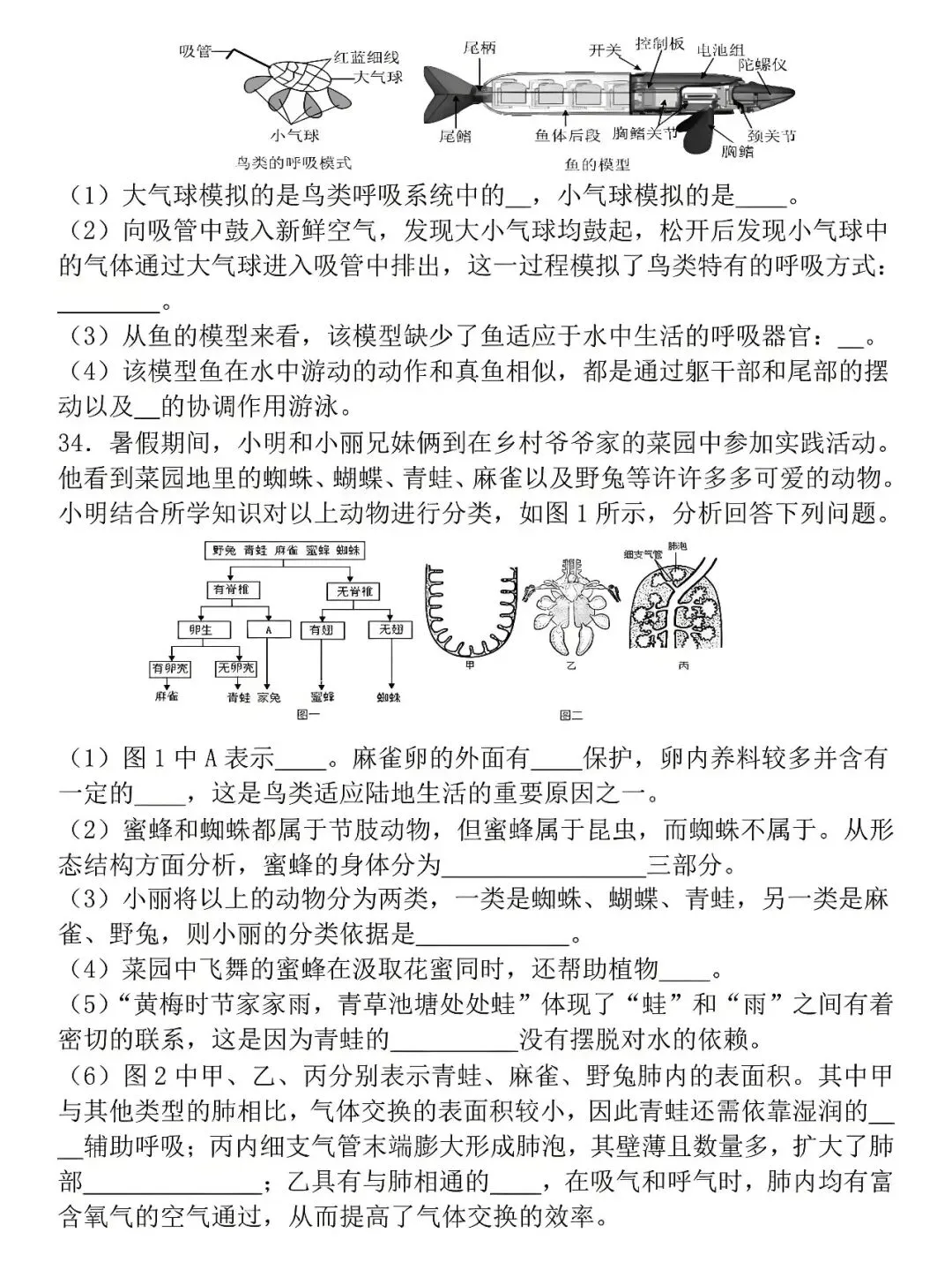 八年级下册生物:学业水平检测模拟试卷(空白版),练熟了才能少丢分! 第8张