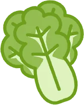 精准施策明方向,凝心聚力战中考——共青城市宽高实验学校2026备考指导培训会圆满结束 第37张