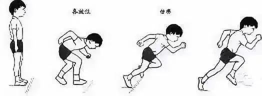 【中考体测】评分标准及训练建议 第6张