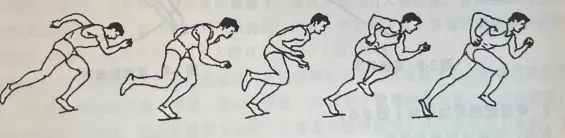 【中考体测】评分标准及训练建议 第7张