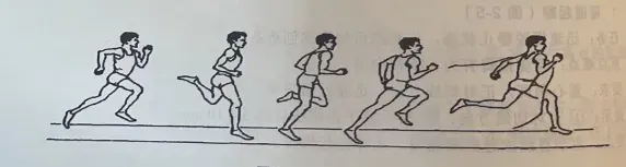 【中考体测】评分标准及训练建议 第8张