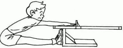 【中考体测】评分标准及训练建议 第12张