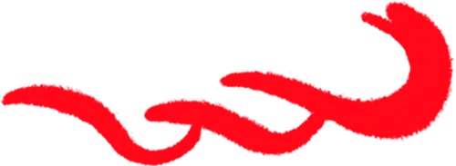 2026福建专升本真题复现汇总(持更……) 第1张