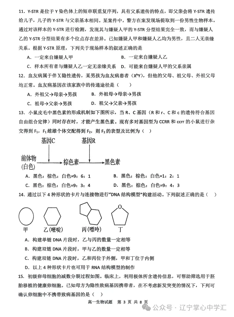2025年4月锦州高一月考试卷+答案 第117张