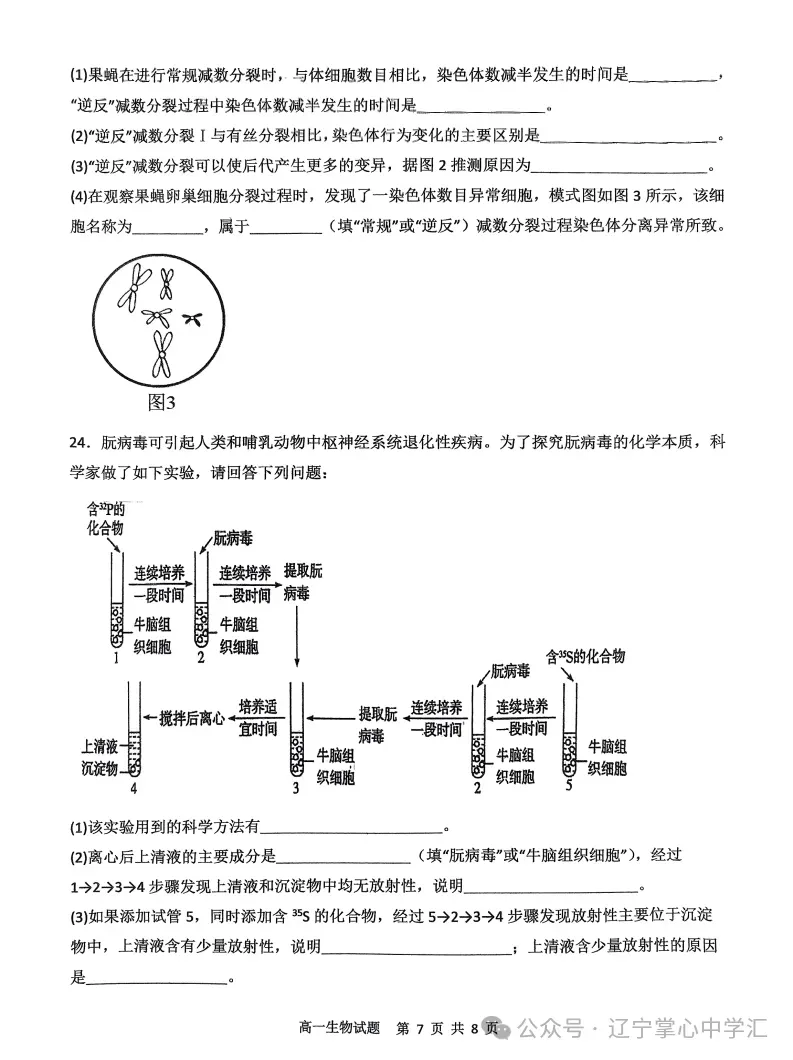 2025年4月锦州高一月考试卷+答案 第121张