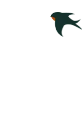 研教法备中考——张川镇中学地生教研纪实 第5张