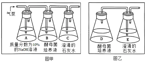 2026年中考生物实验探究题强化题库60题 第2张