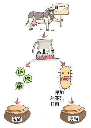 2026年中考生物实验探究题强化题库60题 第10张