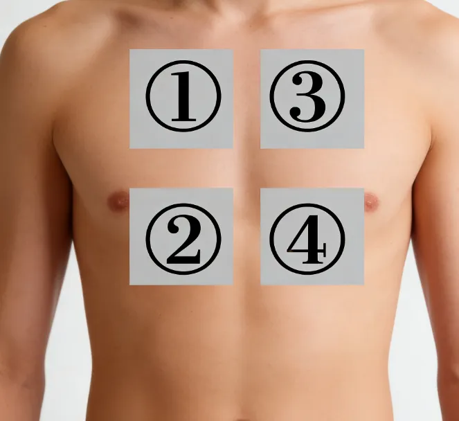 2026年中考生物实验探究题强化题库60题 第15张