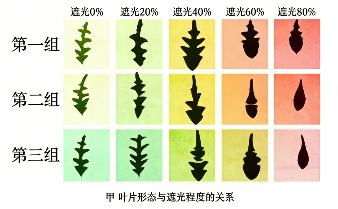 2026年中考生物实验探究题强化题库60题 第21张