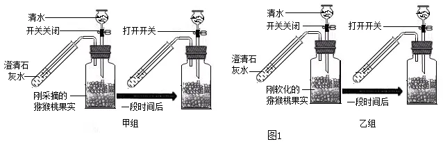 2026年中考生物实验探究题强化题库60题 第25张