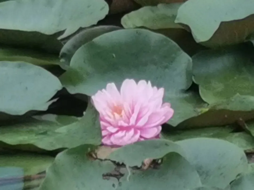 真题大集合:26年3月28-29日各地面试题 第2张 真题大集合:26年3月28-29日各地面试题 第2张