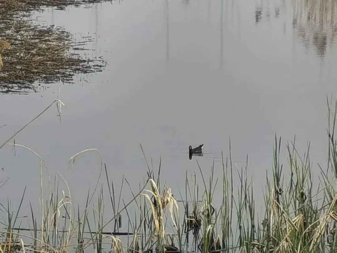 真题大集合:26年3月28-29日各地面试题 第4张 真题大集合:26年3月28-29日各地面试题 第4张