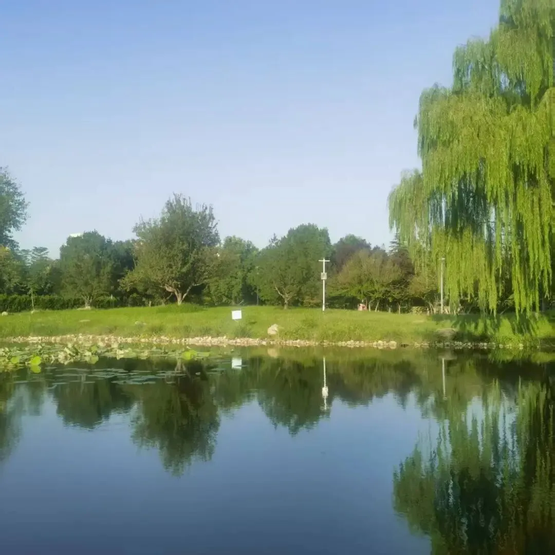 真题大集合:26年3月28-29日各地面试题 第6张 真题大集合:26年3月28-29日各地面试题 第6张