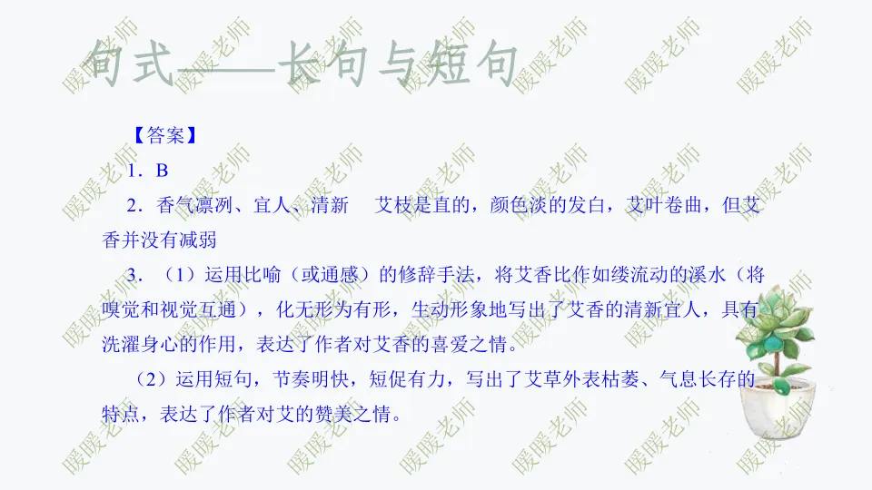 中考复习——记叙文题型与技巧-赏析类(句式) 课件89页 第18张