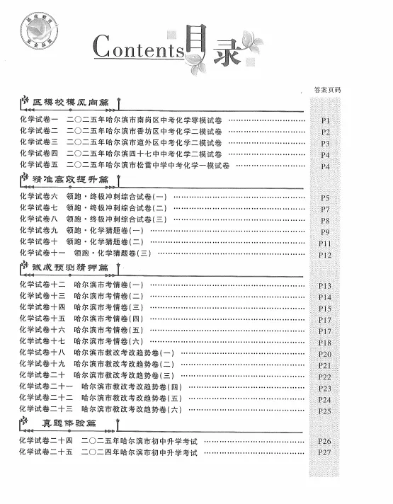 【九下教辅】2026诚成题库 中考模拟领航卷化学 含答案 第6张