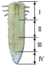 2026初中生物学模拟测试一 第6张 2026初中生物学模拟测试一 第6张