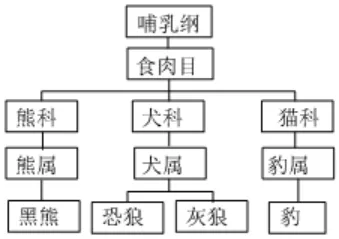 2026初中生物学模拟测试一 第8张 2026初中生物学模拟测试一 第8张