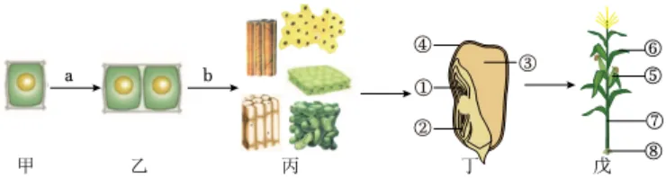 2026初中生物学模拟测试一 第15张 2026初中生物学模拟测试一 第15张