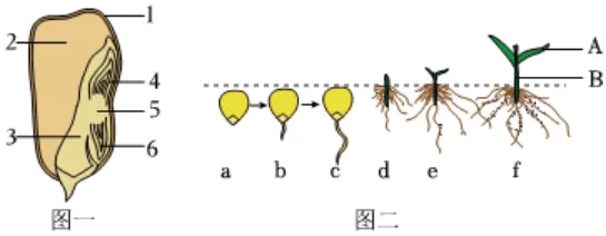 2026初中生物学模拟测试一 第17张 2026初中生物学模拟测试一 第17张