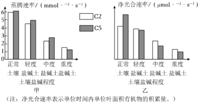 2026初中生物学模拟测试一 第19张 2026初中生物学模拟测试一 第19张