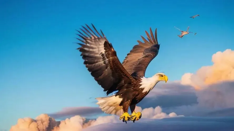 中考倒计时:常说这4句话,孩子越来越自信 第2张