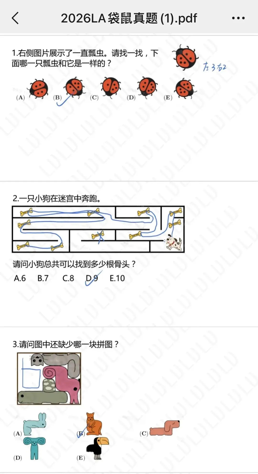 【真题解析】2026袋鼠数学思维挑战真题及答案解析!2026袋鼠数学成绩查询通道!附中小学高含金量数学赛事推荐! 第5张