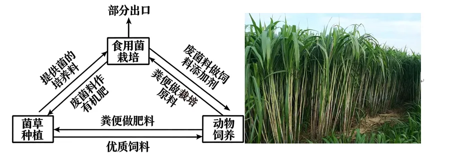 2026年3月济南市2026届高三第一次模拟考试地理试题 第7张