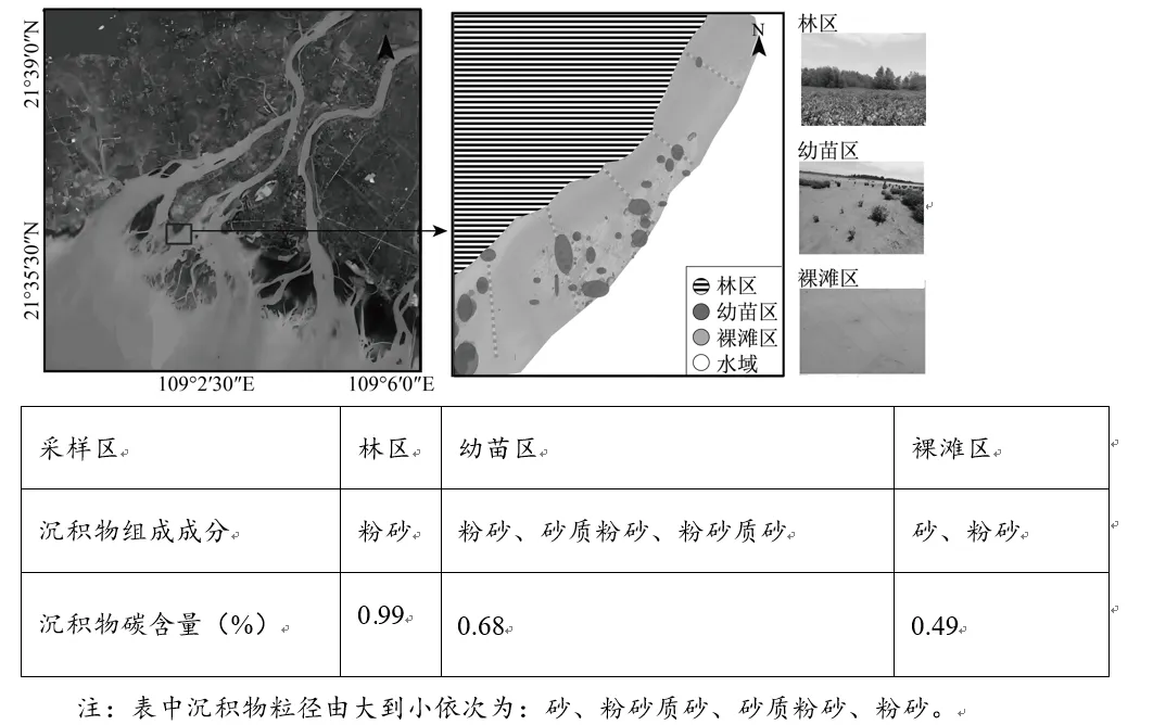 2026年3月济南市2026届高三第一次模拟考试地理试题 第8张