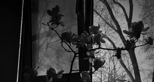 初二期中考练笔范文 第6张