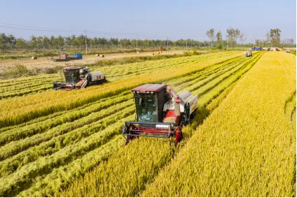 26中考时政热点及模拟试题(16)科创政策/智能经济/教育规范/粮食产能/ 数字经济 第8张 26中考时政热点及模拟试题(16)科创政策/智能经济/教育规范/粮食产能/ 数字经济 第8张