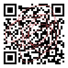 【中考真题卷】2025年青海省西宁市中考生物真题卷(原卷版+解析版+Word版下载) 第8张