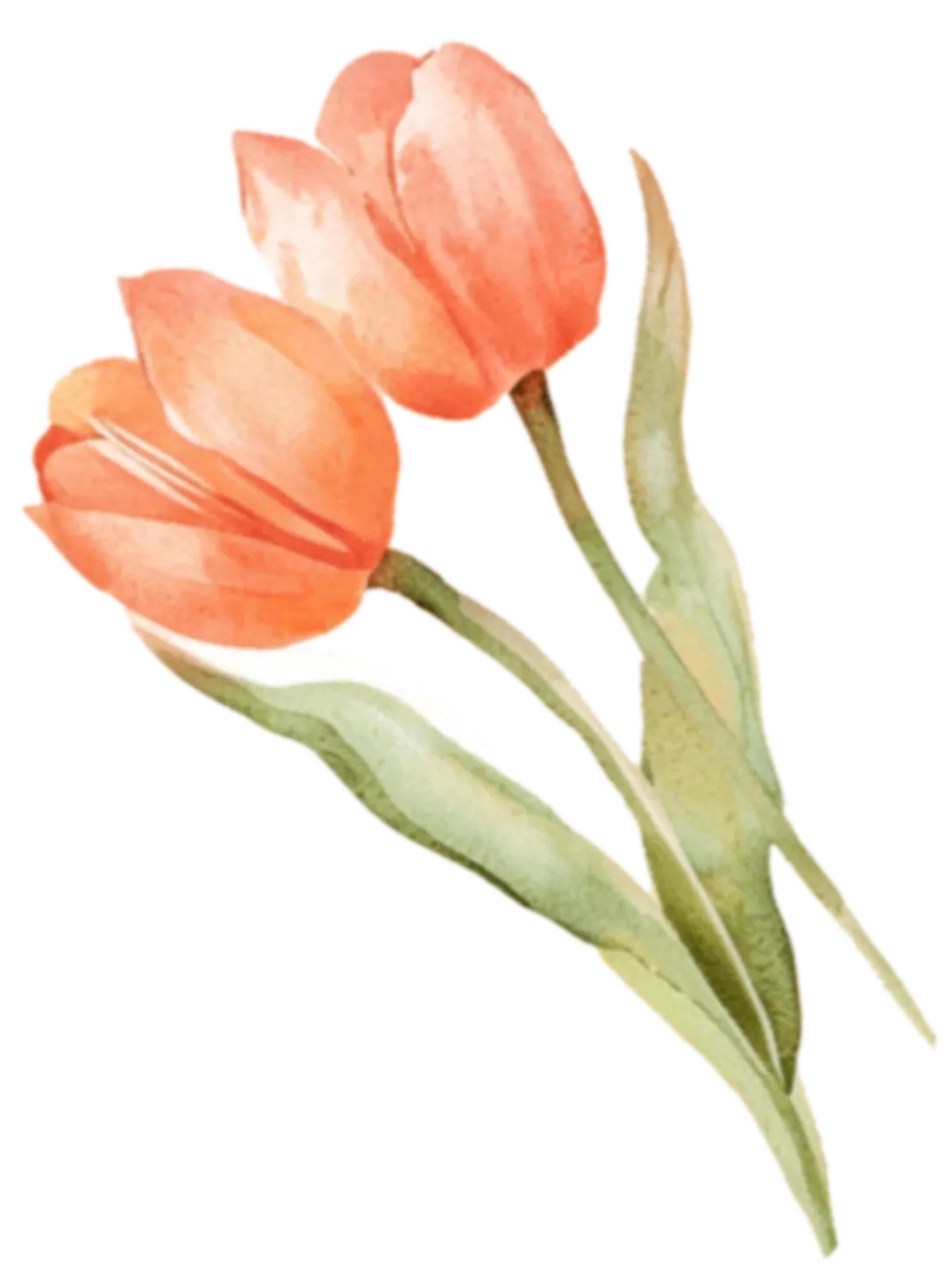 陪孩子中考,也陪好自己 第4张