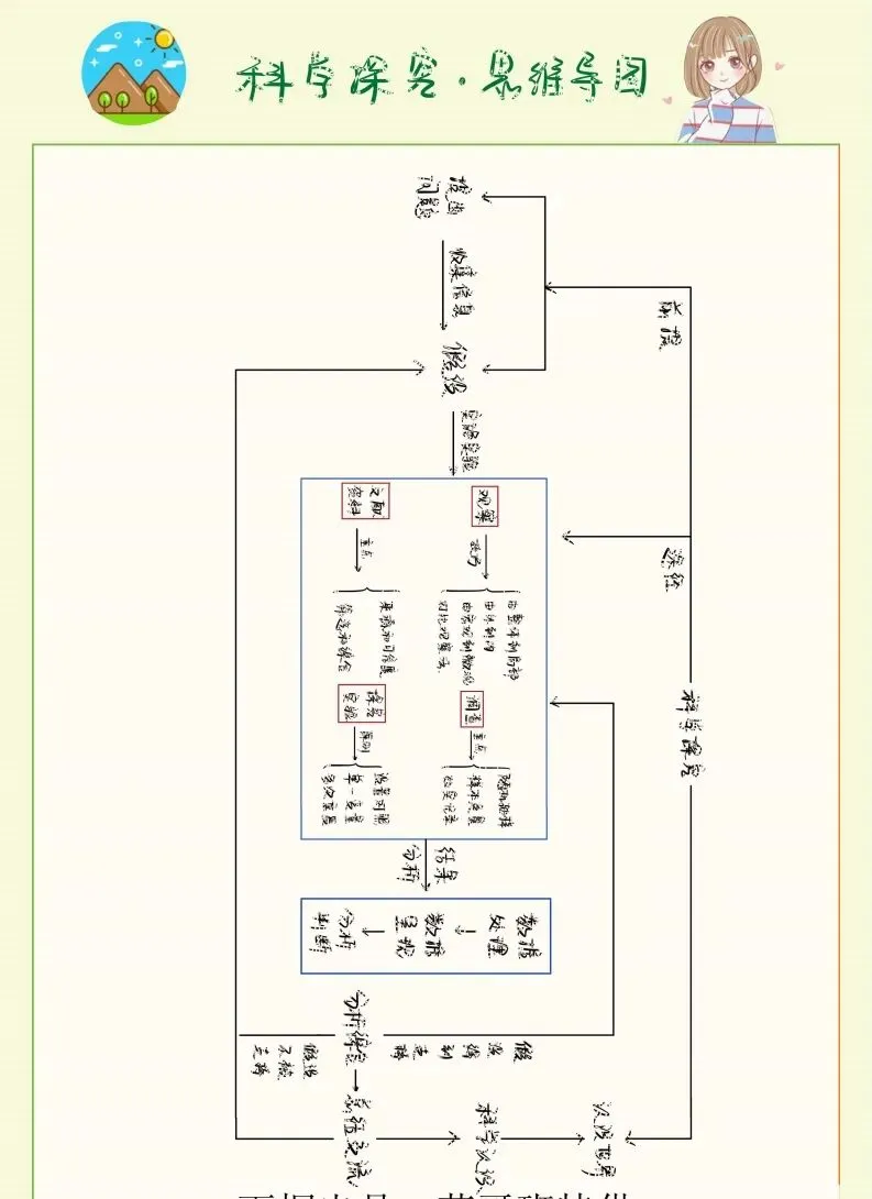 中考生物实验笔记 第3张