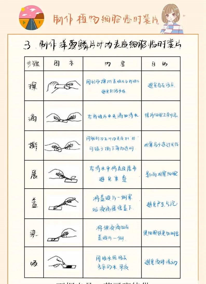 中考生物实验笔记 第5张