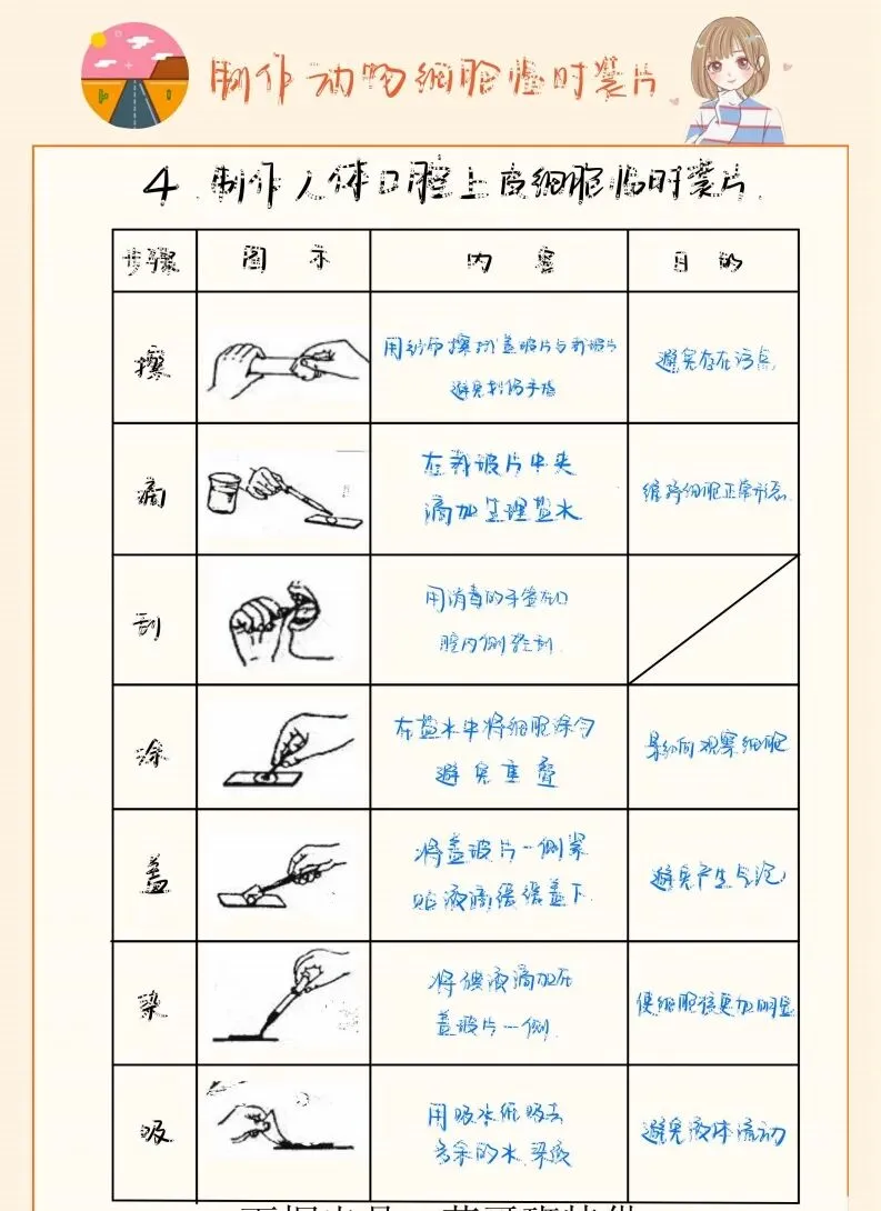 中考生物实验笔记 第6张