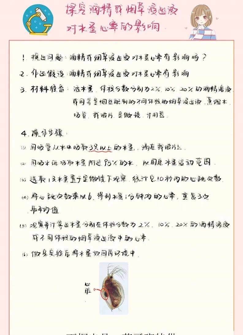 中考生物实验笔记 第8张