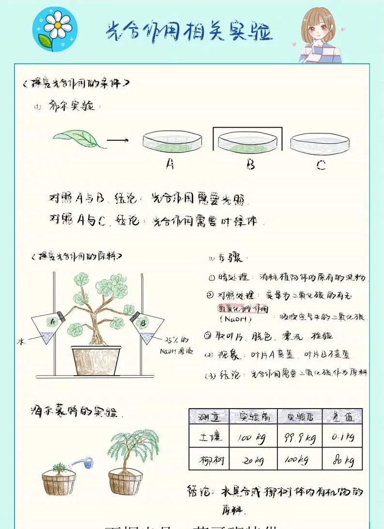 中考生物实验笔记 第11张