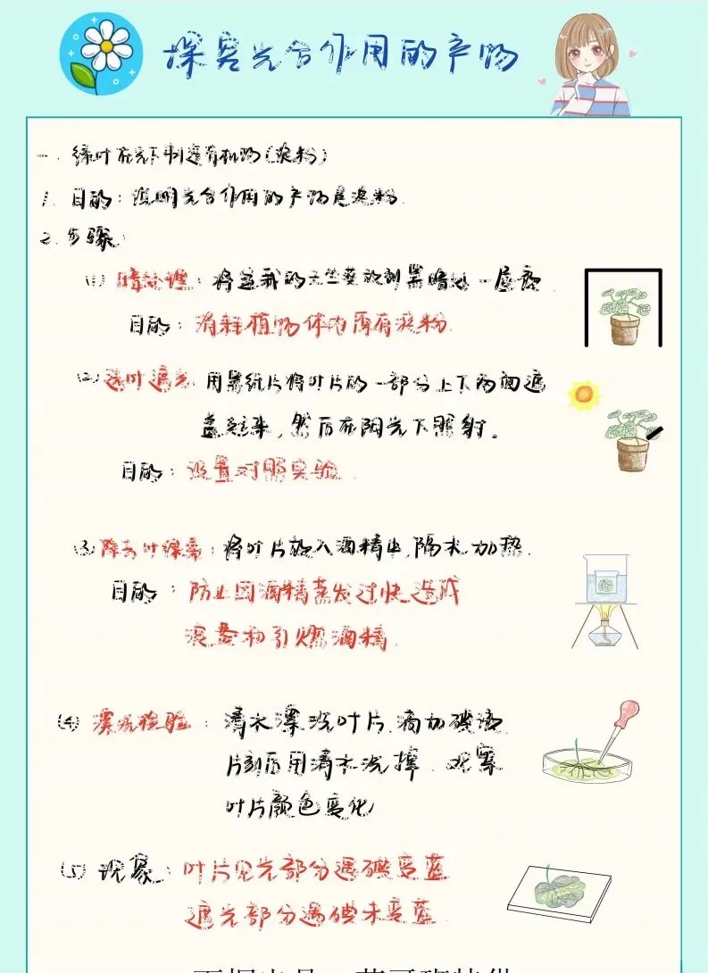 中考生物实验笔记 第12张