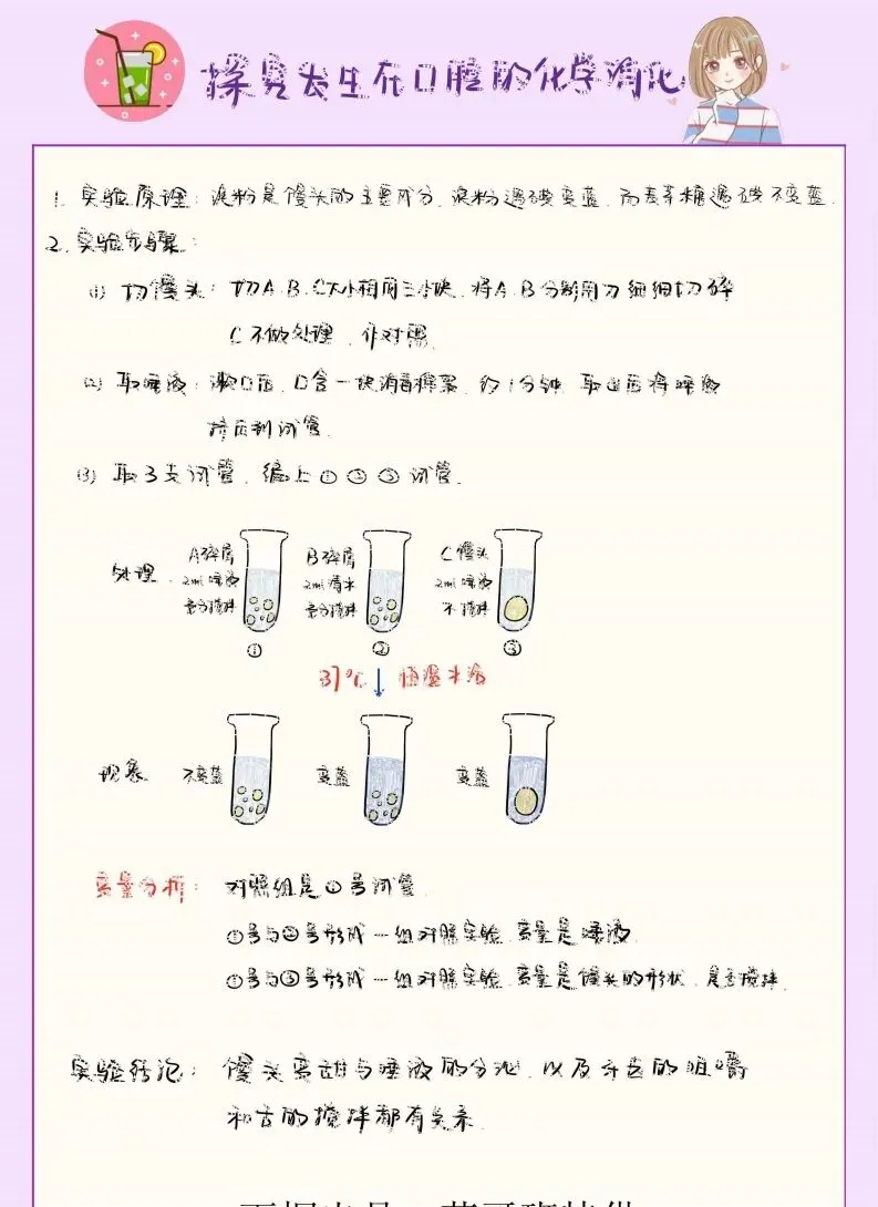 中考生物实验笔记 第13张