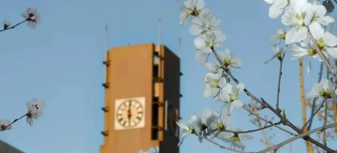 雅思全真模考|冲雅思,全真模拟考等你来战! 第7张