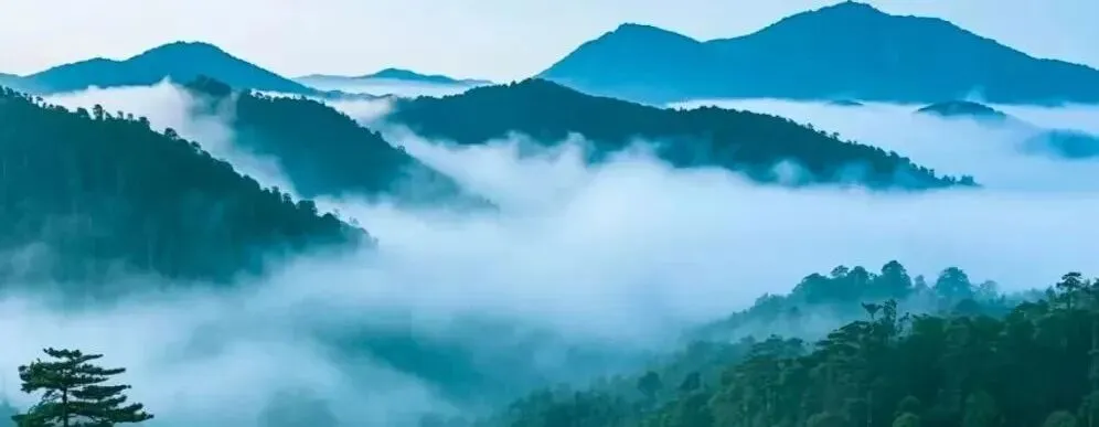 中考英语语法填空15个黄金口诀,轻松拿满分的秘密! 第1张