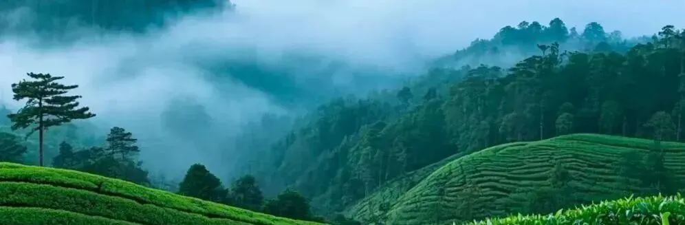 中考英语语法填空15个黄金口诀,轻松拿满分的秘密! 第2张