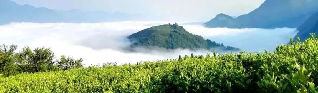 中考英语语法填空15个黄金口诀,轻松拿满分的秘密! 第5张