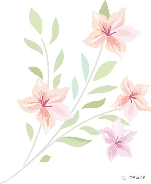 直播预告|中考专场:亲子携手,从容走过六月天! 第5张 直播预告|中考专场:亲子携手,从容走过六月天! 第5张