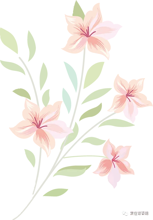 直播预告|中考专场:亲子携手,从容走过六月天! 第15张 直播预告|中考专场:亲子携手,从容走过六月天! 第15张