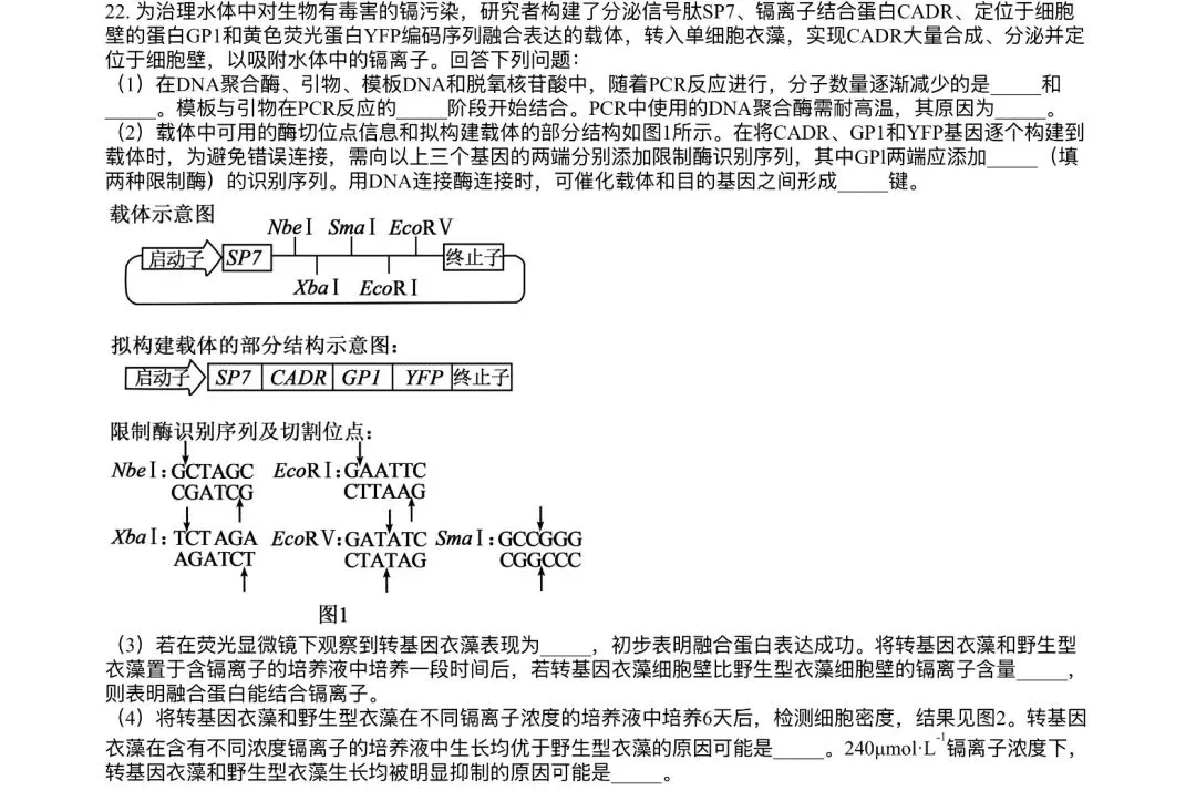 【河北省份】2025年高考生物基因工程真题讲解 第6张