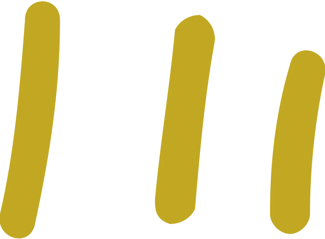 中考后想读宠物专业,这几所学校一定要了解! 第3张 中考后想读宠物专业,这几所学校一定要了解! 第3张