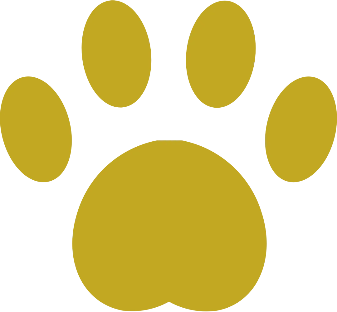 中考后想读宠物专业,这几所学校一定要了解! 第4张 中考后想读宠物专业,这几所学校一定要了解! 第4张